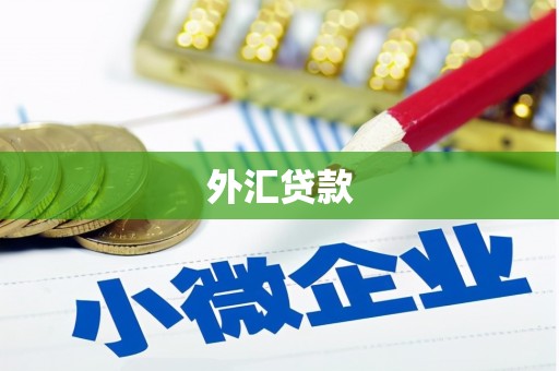 北部新区外汇贷款