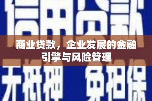 北部新区商业贷款，企业发展的金融引擎与风险管理