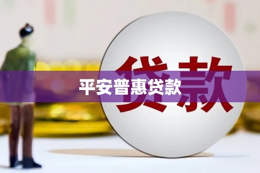北部新区平安普惠贷款