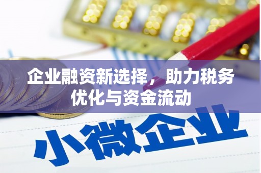北部新区企业融资新选择，助力税务优化与资金流动