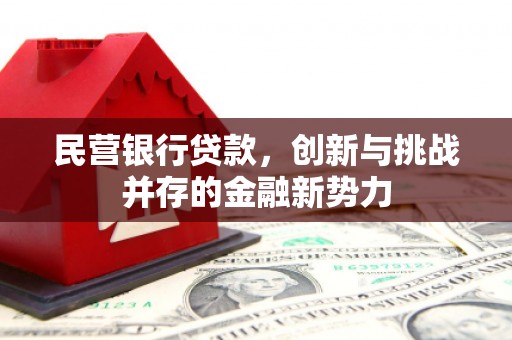 北部新区民营银行贷款，创新与挑战并存的金融新势力