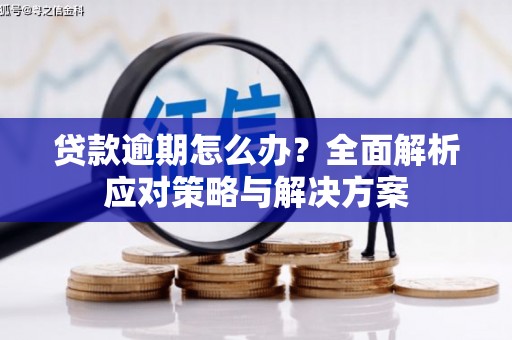 北部新区贷款逾期怎么办？全面解析应对策略与解决方案