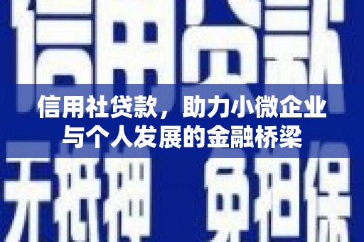 北部新区信用社贷款，助力小微企业与个人发展的金融桥梁