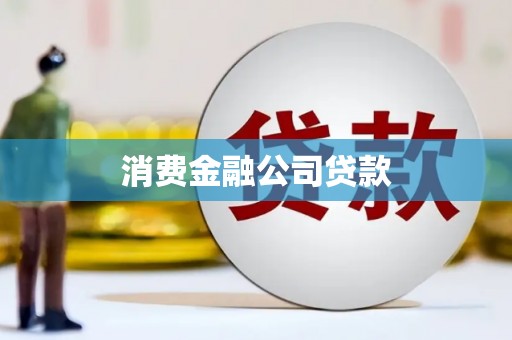 北部新区消费金融公司贷款