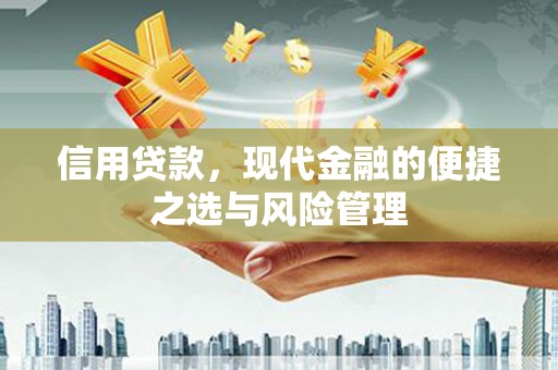 北部新区信用贷款，现代金融的便捷之选与风险管理