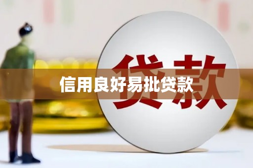 北部新区信用良好易批贷款