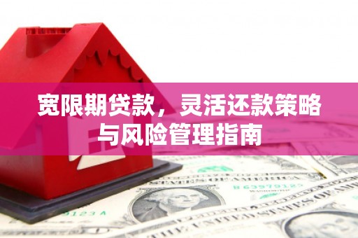 北部新区宽限期贷款，灵活还款策略与风险管理指南