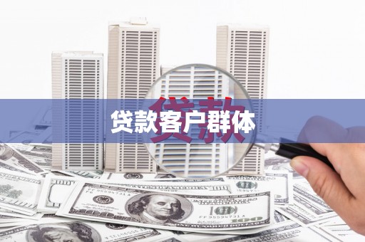 北部新区贷款客户群体