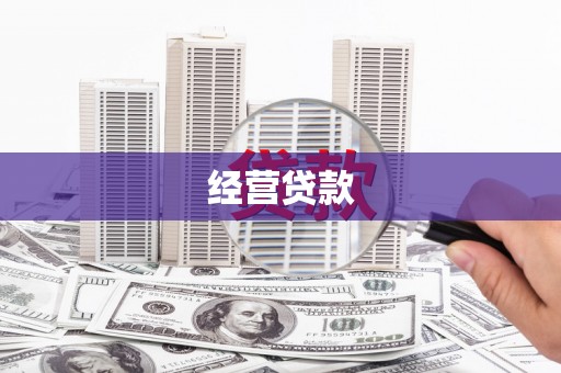 北部新区经营贷款