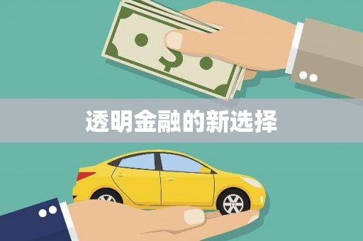 北部新区透明金融的新选择