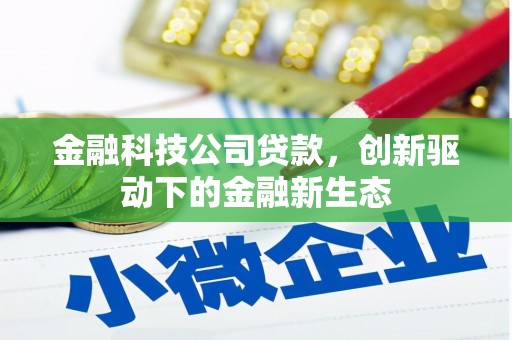 北部新区金融科技公司贷款，创新驱动下的金融新生态