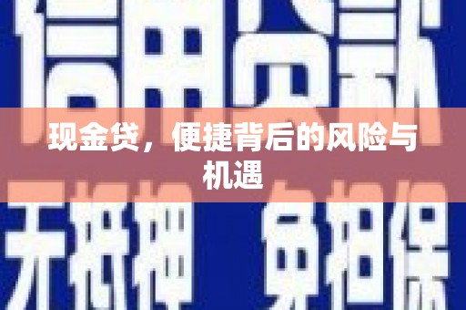 北部新区现金贷，便捷背后的风险与机遇