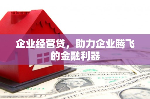 北部新区企业经营贷，助力企业腾飞的金融利器