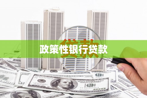 北部新区政策性银行贷款