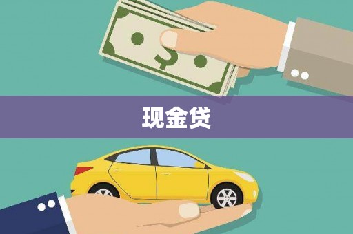 北部新区现金贷