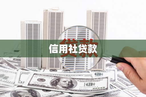 北部新区信用社贷款