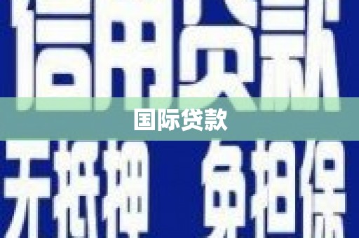 北部新区国际贷款