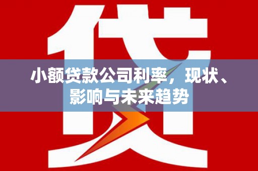 北部新区小额贷款公司利率，现状、影响与未来趋势