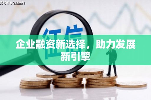 北部新区企业融资新选择，助力发展新引擎