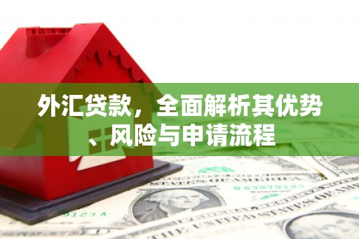北部新区外汇贷款，全面解析其优势、风险与申请流程