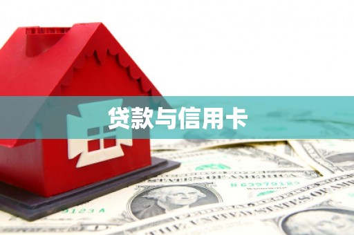 北部新区贷款与信用卡