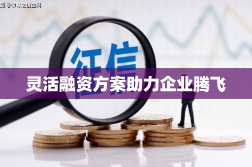 北部新区灵活融资方案助力企业腾飞
