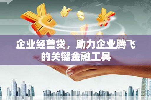 北部新区企业经营贷，助力企业腾飞的关键金融工具