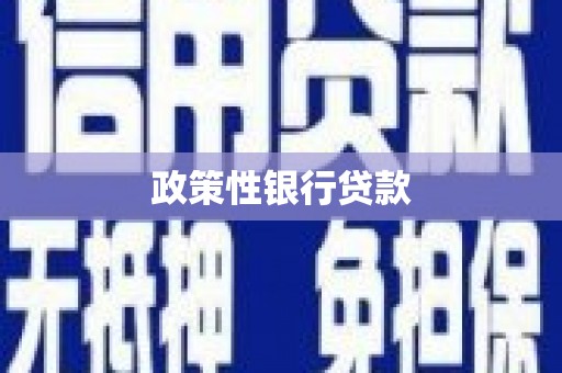 北部新区政策性银行贷款