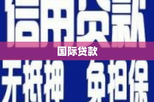 北部新区国际贷款
