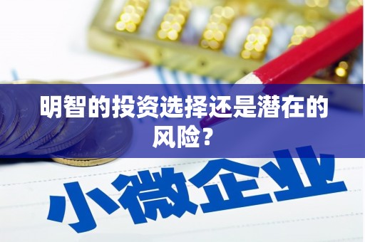 北部新区明智的投资选择还是潜在的风险？