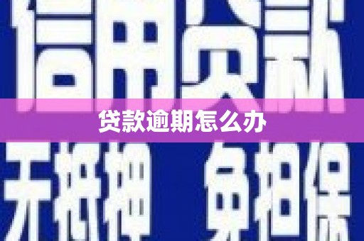 北部新区贷款逾期怎么办