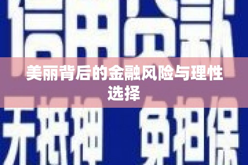 北部新区美丽背后的金融风险与理性选择