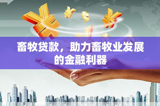 北部新区畜牧贷款，助力畜牧业发展的金融利器