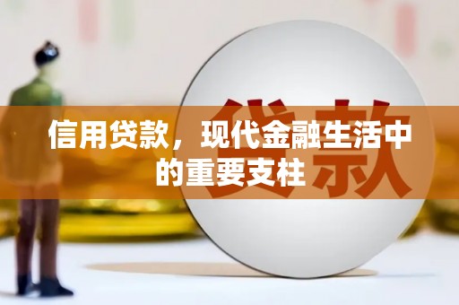 北部新区信用贷款，现代金融生活中的重要支柱
