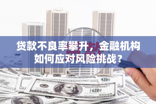 北部新区贷款不良率攀升，金融机构如何应对风险挑战？
