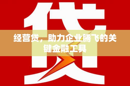 北部新区经营贷，助力企业腾飞的关键金融工具