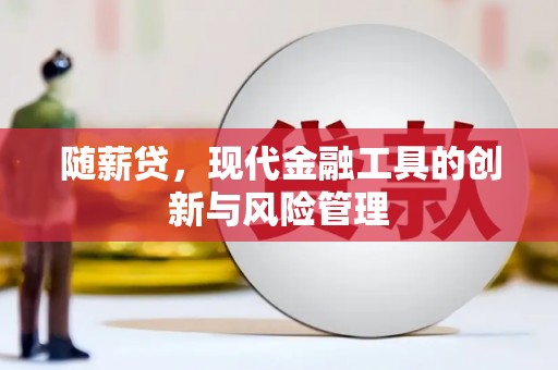 北部新区随薪贷，现代金融工具的创新与风险管理