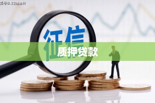 北部新区质押贷款