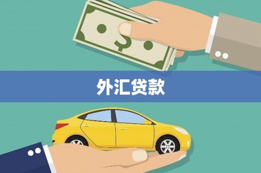 北部新区外汇贷款