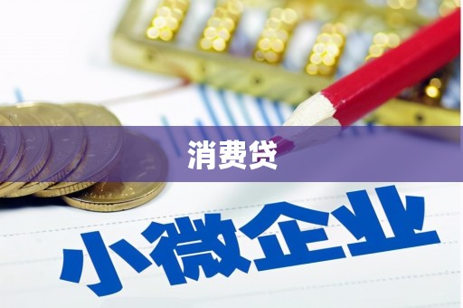 北部新区消费贷