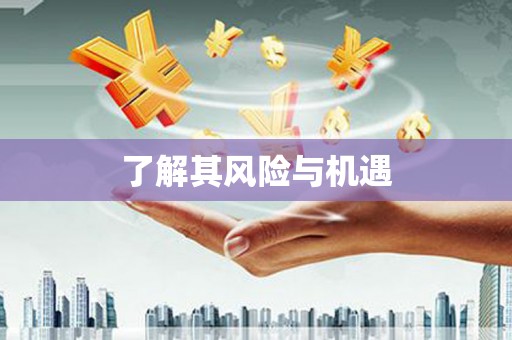 北部新区了解其风险与机遇