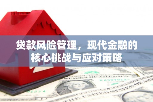北部新区贷款风险管理，现代金融的核心挑战与应对策略