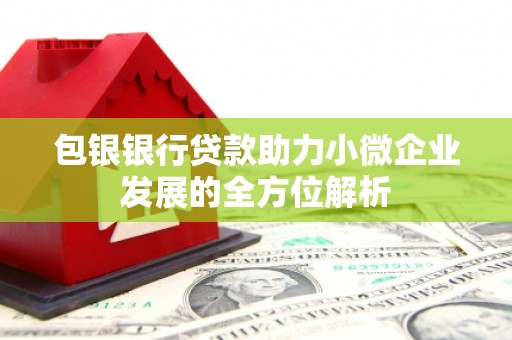 北部新区包银银行贷款助力小微企业发展的全方位解析