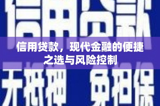 北部新区信用贷款，现代金融的便捷之选与风险控制