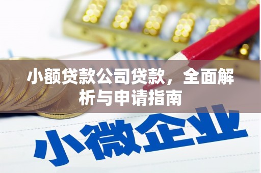 北部新区小额贷款公司贷款，全面解析与申请指南