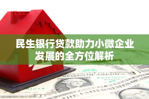 北部新区民生银行贷款助力小微企业发展的全方位解析