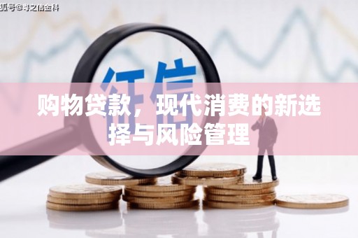 北部新区购物贷款，现代消费的新选择与风险管理
