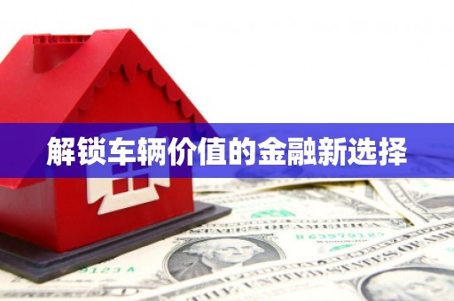 北部新区解锁车辆价值的金融新选择