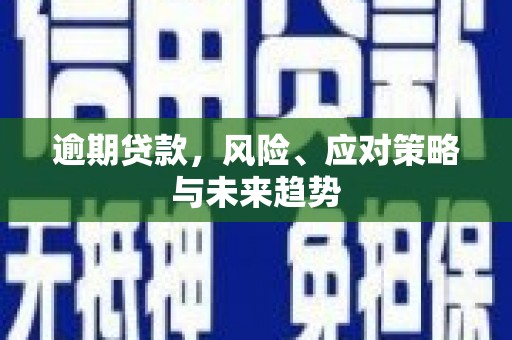 北部新区逾期贷款，风险、应对策略与未来趋势