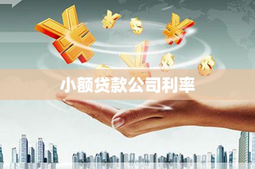北部新区小额贷款公司利率